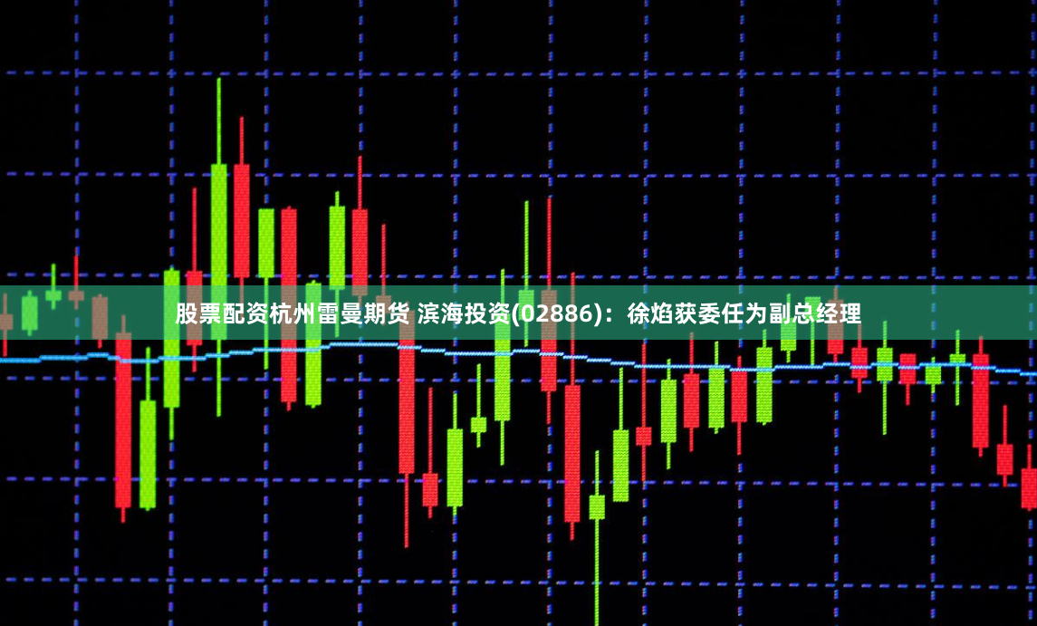 股票配资杭州雷曼期货 滨海投资(02886)：徐焰获委任为副总经理
