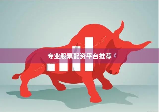 专业股票配资平台推荐